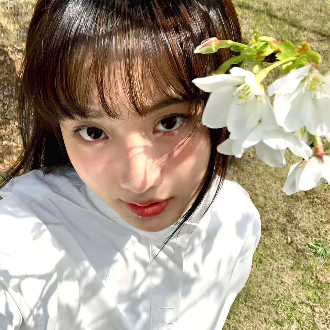 恐惧的绿洲